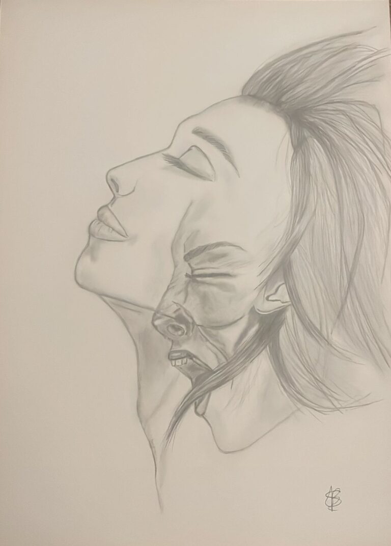 Afbeelding Duurzame Re-integratie door Transformatie