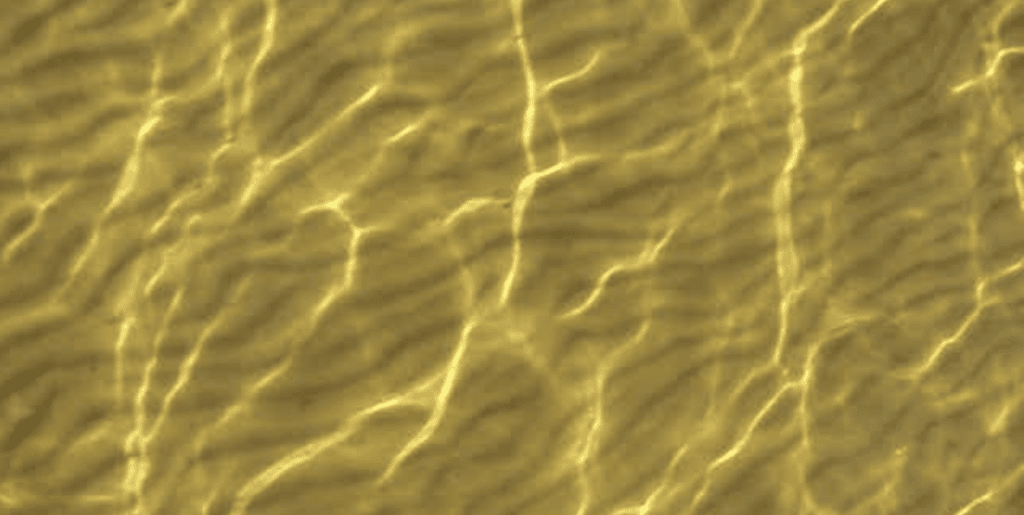 Golven foto - Hoe golven aan ervaringen je verder brengen